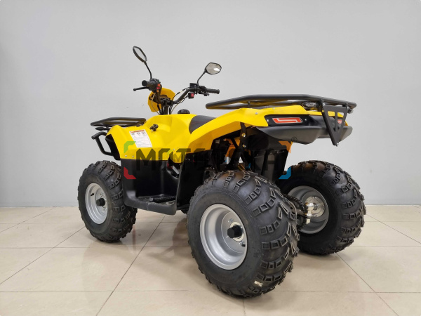 Квадроцикл IRBIS (Ирбис) ATV 200 LUX 2024 желтый с ПСМ | Мототека